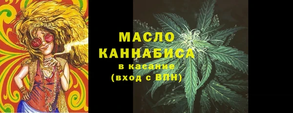 Альфа ПВП Верея