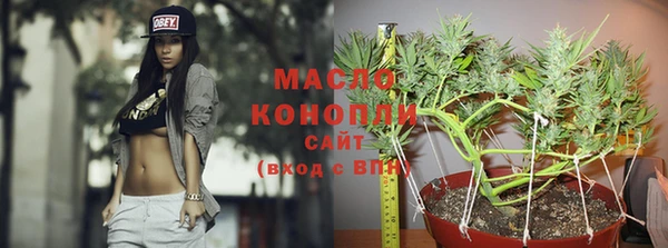 Альфа ПВП Верея