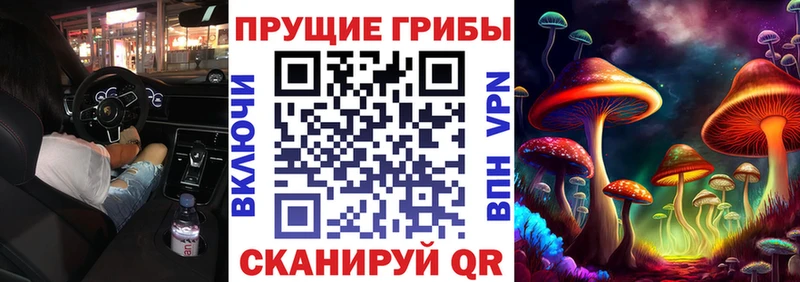 Галлюциногенные грибы мицелий  Отрадная 